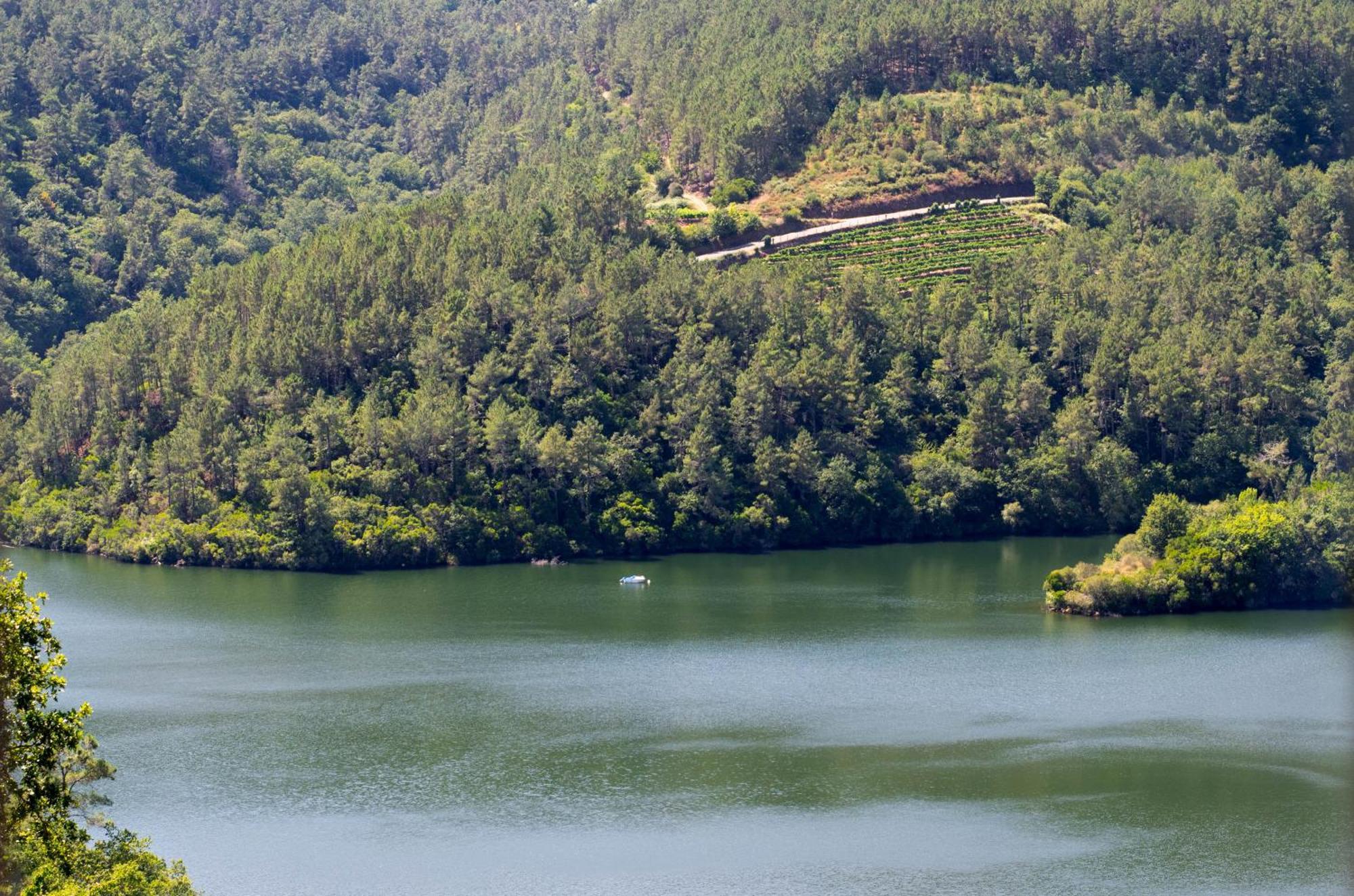 Ecolagar O Barqueiro Villa Pantón Dış mekan fotoğraf