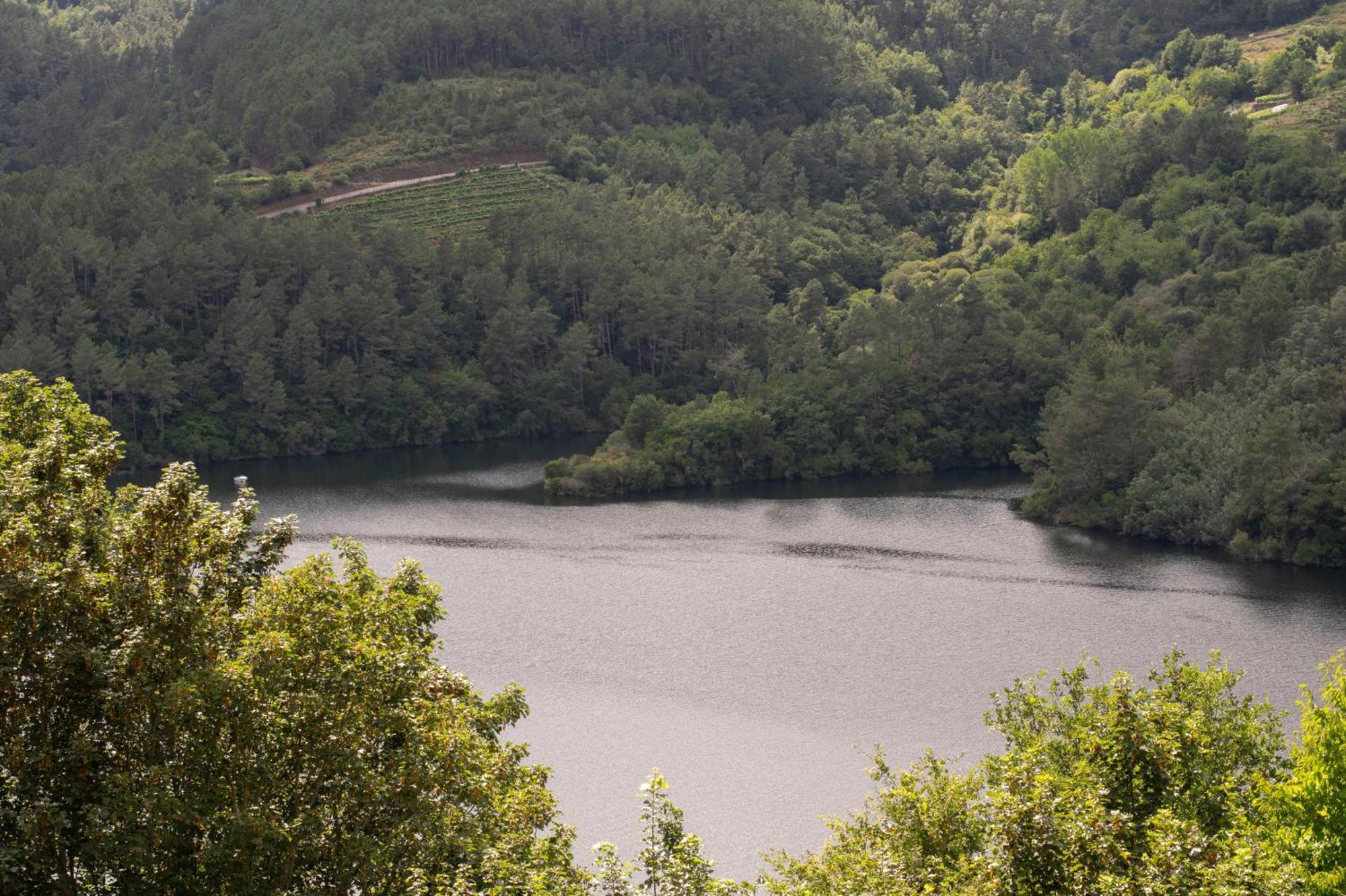 Ecolagar O Barqueiro Villa Pantón Dış mekan fotoğraf