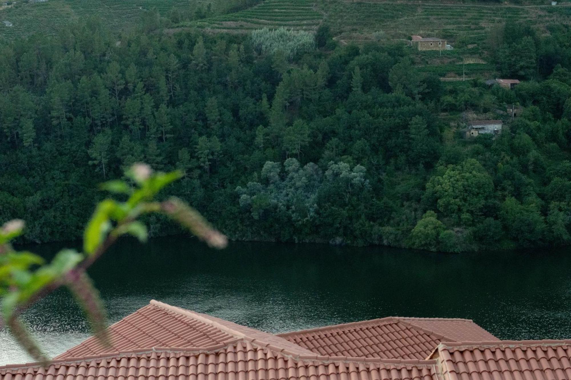 Ecolagar O Barqueiro Villa Pantón Dış mekan fotoğraf
